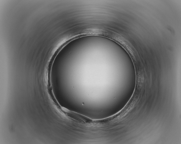 X0000112801083200908281523