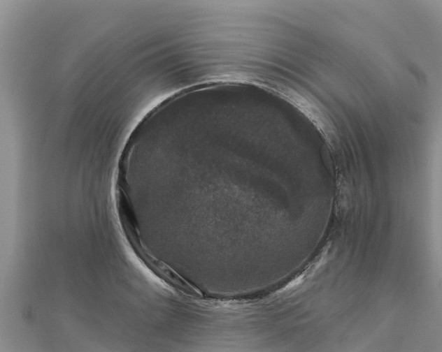 X0000112801084200908281523