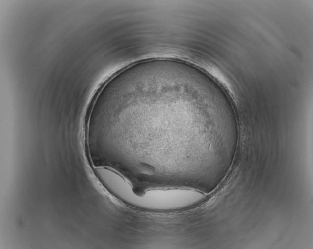 X0000112801088200908281523