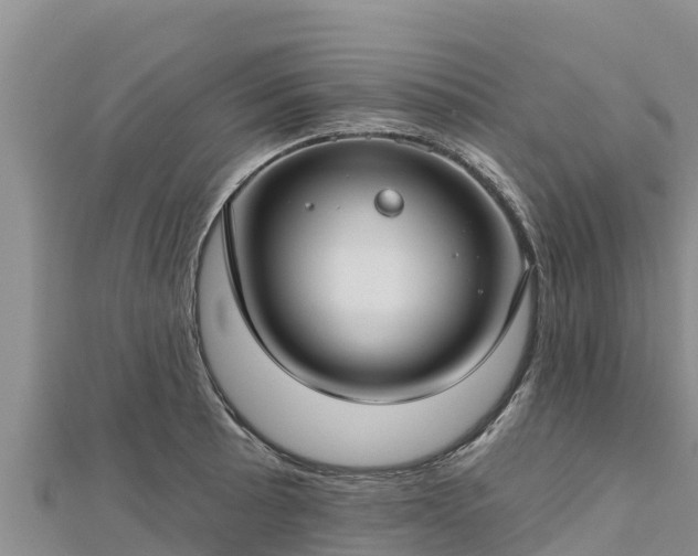 X0000112801089200908281523