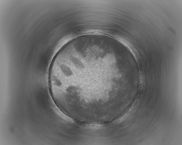 X0000112801090200908281523