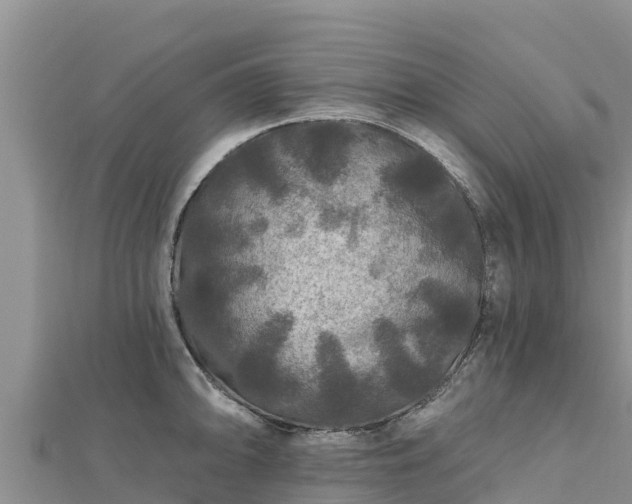 X0000112801094200908281523