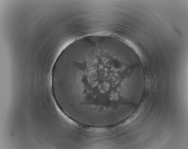 X0000112801095200908281523