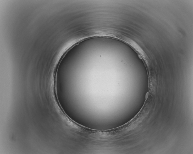 X0000112801096200908281523