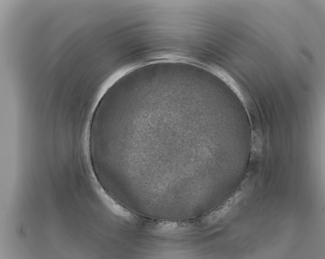 X0000112801098200908281523