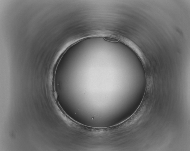 X0000112801099200908281523