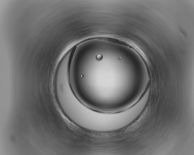X0000112801101200908281523