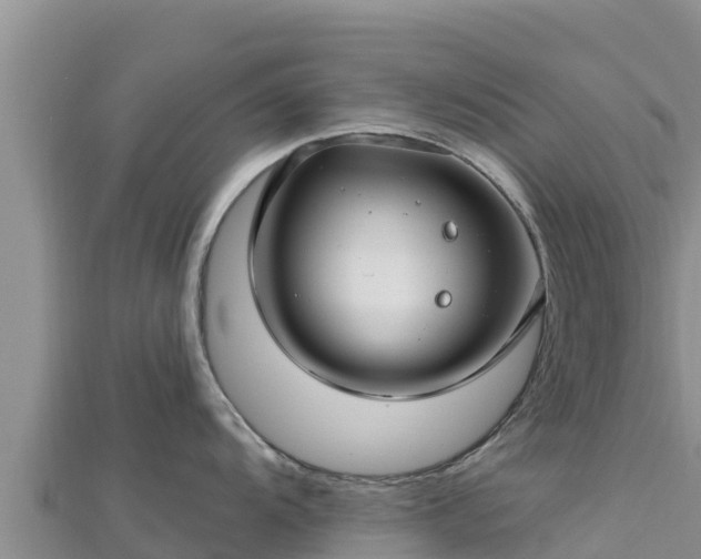 X0000112801104200908281523
