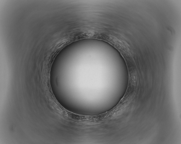 X0000112801105200908281522
