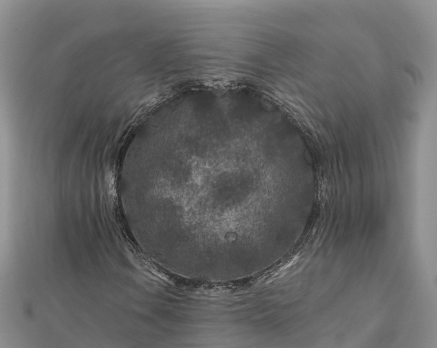 X0000112801106200908281522