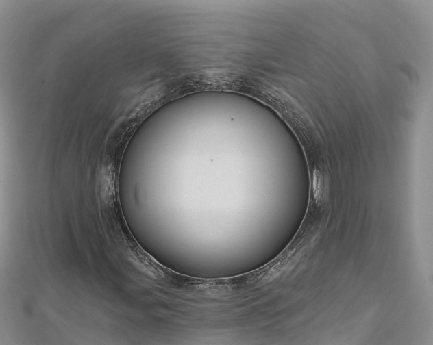 X0000112801107200908281522
