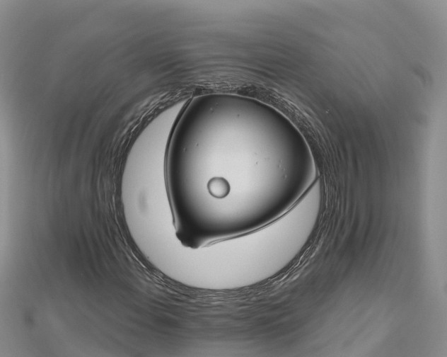 X0000112801108200908281522
