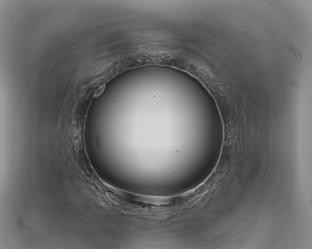 X0000112801109200908281522