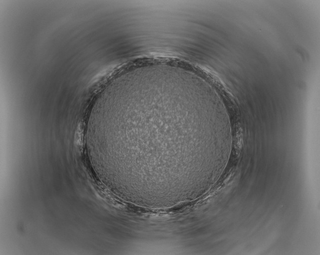 X0000112801110200908281522