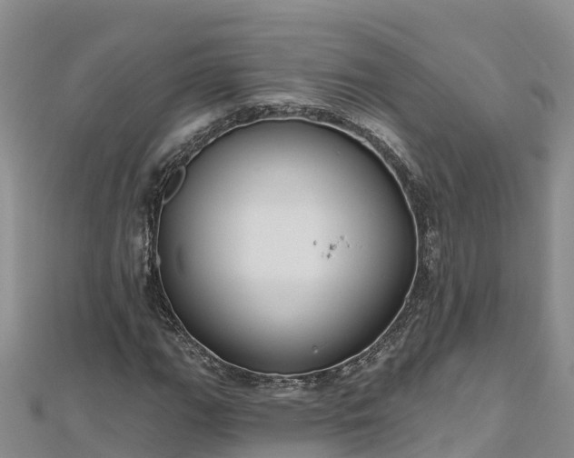 X0000112801111200908281522