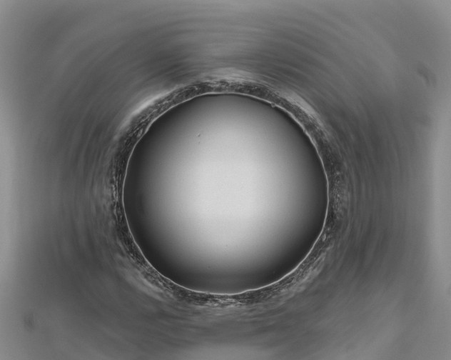 X0000112801112200908281522