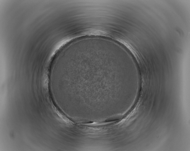 X0000112801115200908281522