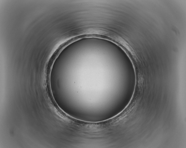 X0000112801116200908281522