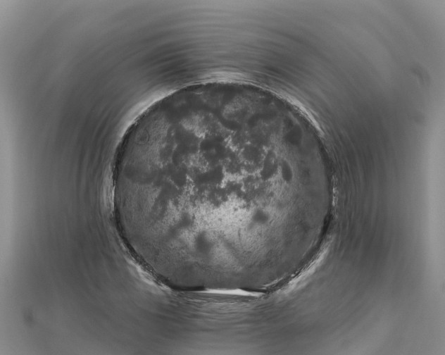 X0000112801117200908281522