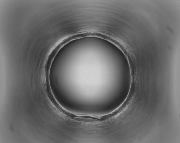 X0000112801118200908281522