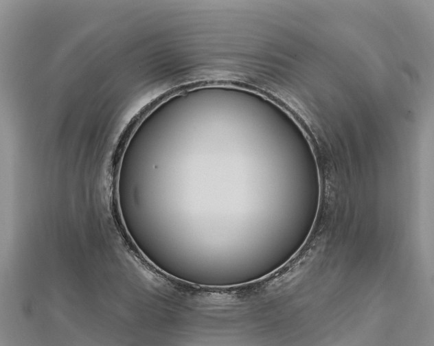 X0000112801119200908281522