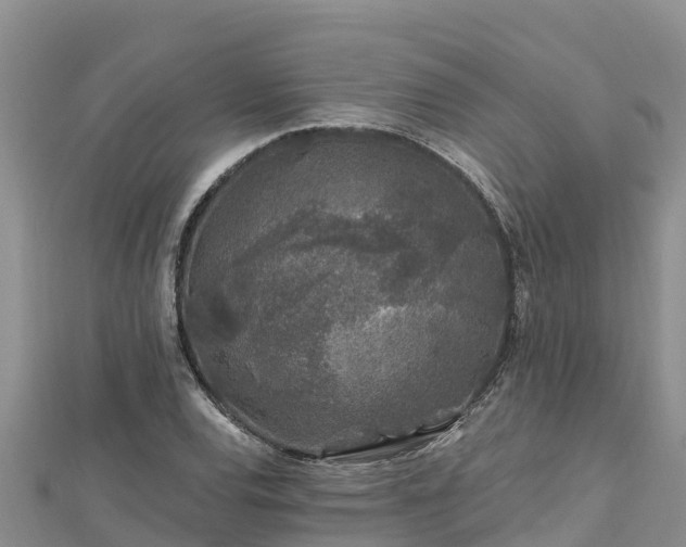 X0000112801120200908281522