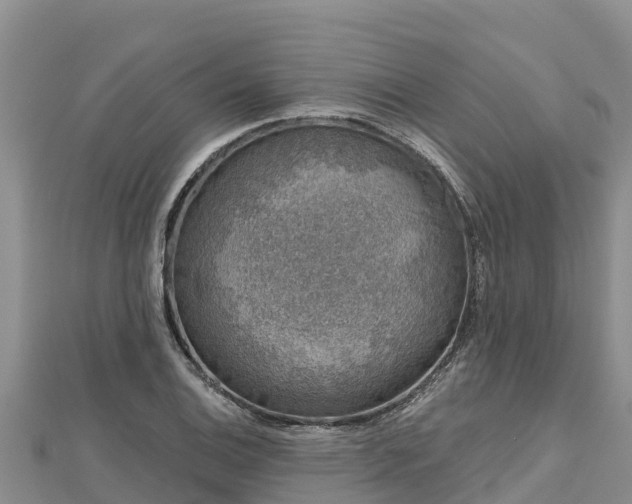 X0000112801124200908281522