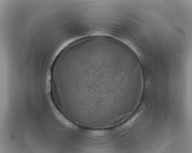 X0000112801126200908281522