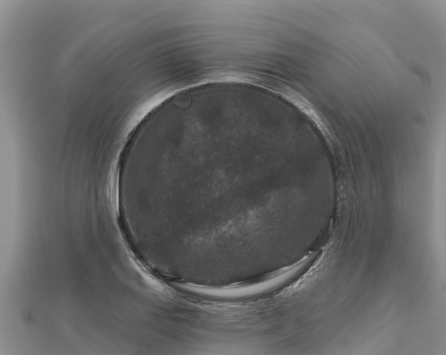X0000112801127200908281522