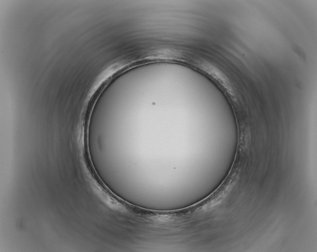 X0000112801130200908281522