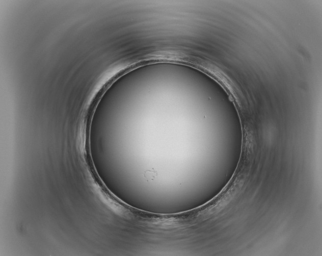 X0000112801131200908281522