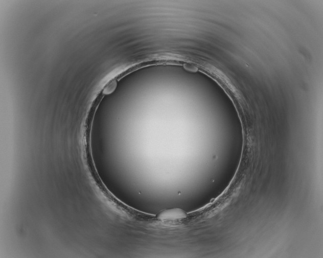 X0000112801133200908281522