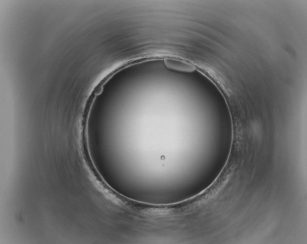 X0000112801134200908281522