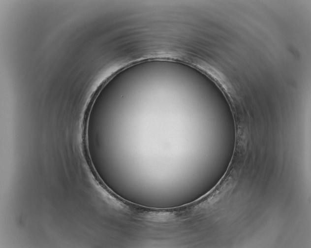 X0000112801135200908281522