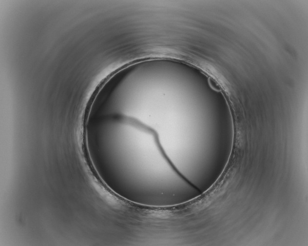 X0000112801136200908281522