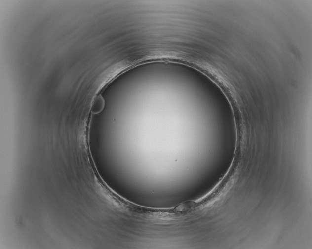 X0000112801137200908281523