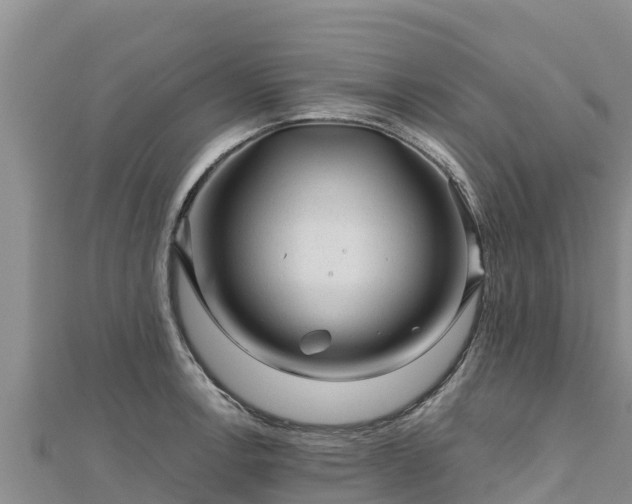 X0000112801138200908281523