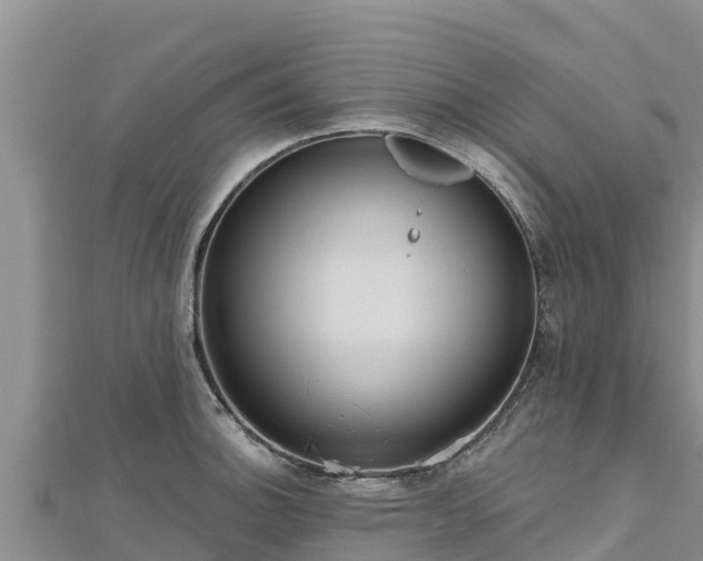 X0000112801140200908281523