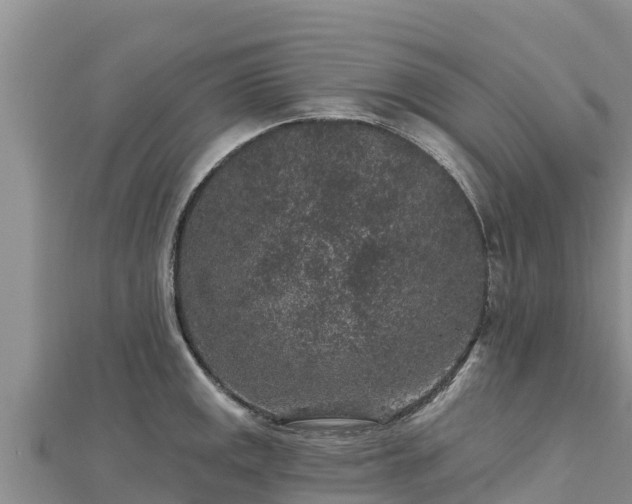 X0000112801141200908281523