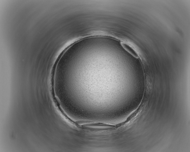 X0000112801142200908281523