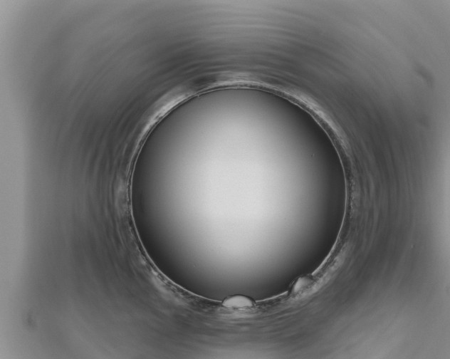 X0000112801145200908281523