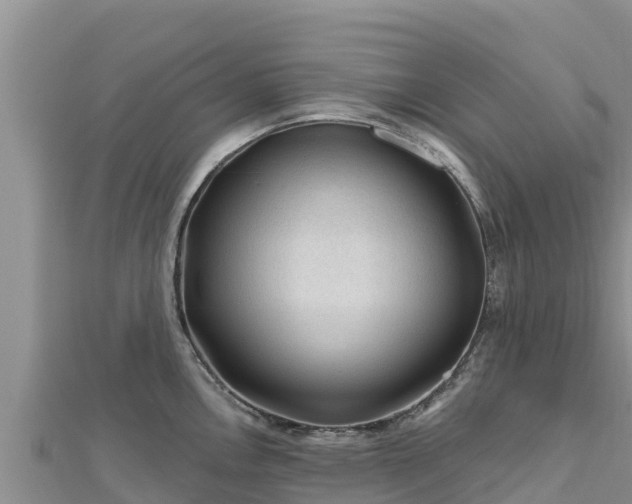 X0000112801146200908281523