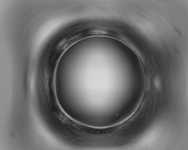 X0000112801151200908281523