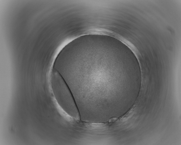 X0000112801152200908281523