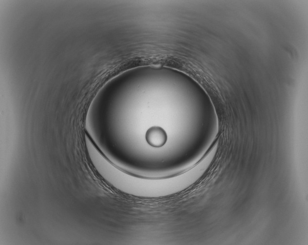 X0000112801153200908281522