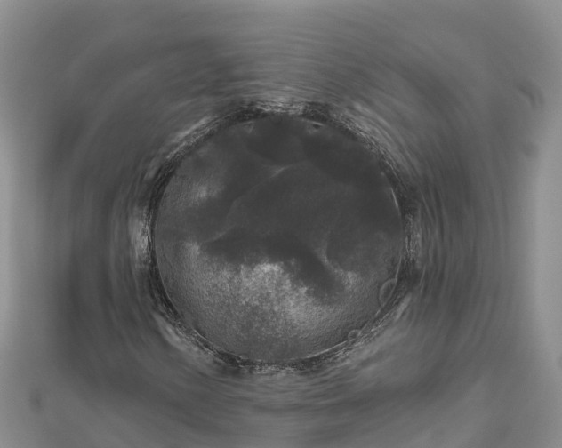 X0000112801154200908281522