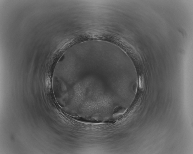 X0000112801155200908281522