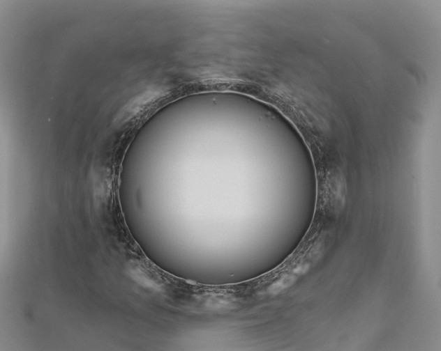 X0000112801157200908281522