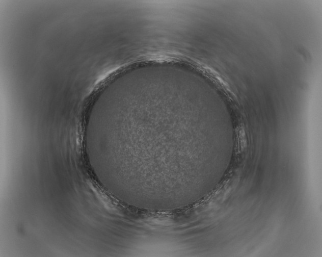 X0000112801158200908281522