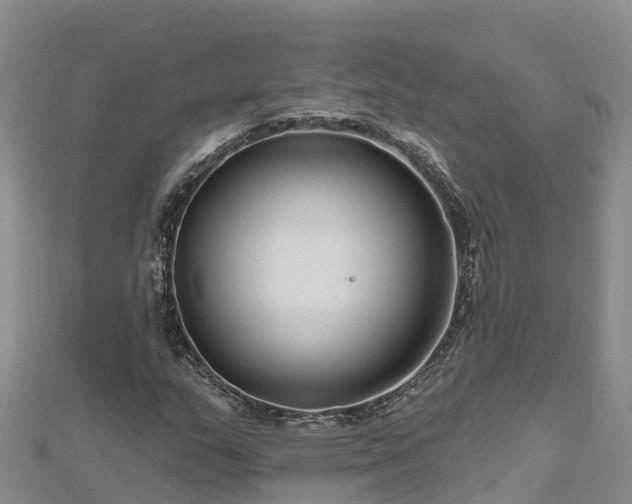 X0000112801159200908281522